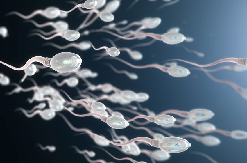 Spermiocoltura