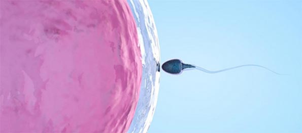 infertilita-maschile-parliamone.jpg